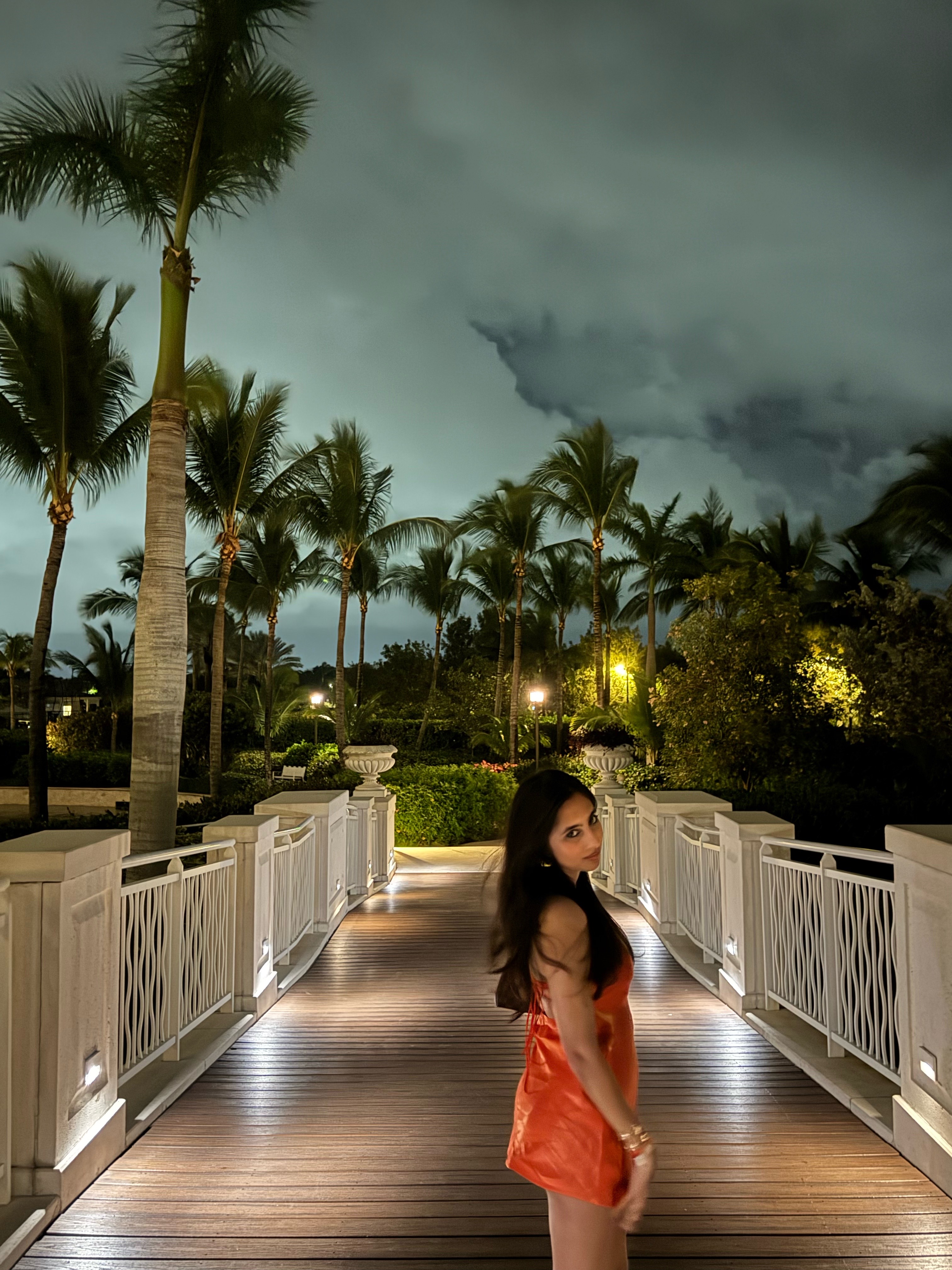 Avika Lohia profile preview